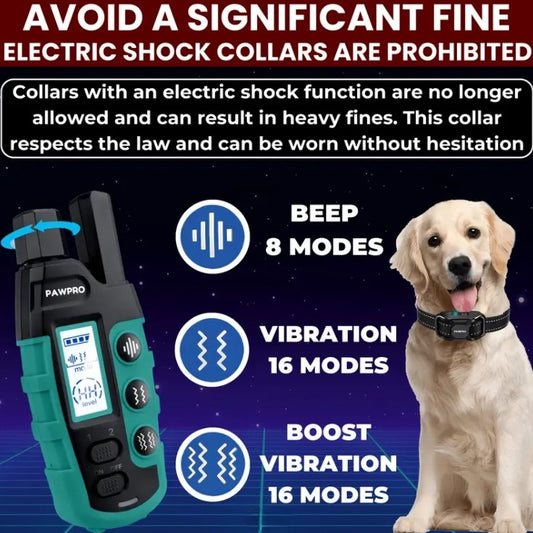 Dog Training Collar