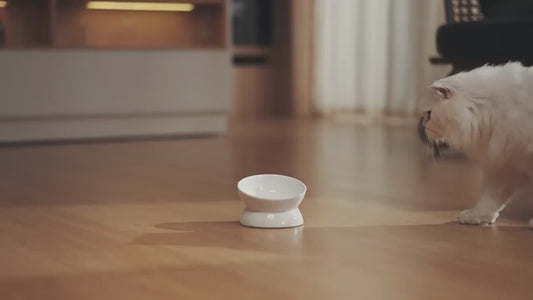 2L Automatic Pet Feeder
